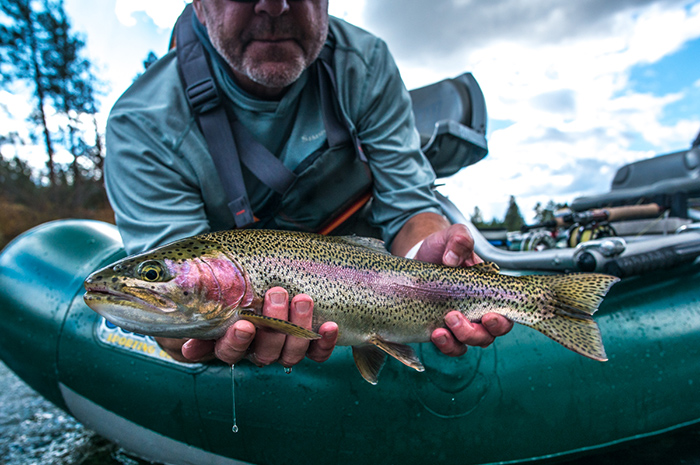 Fall fly fishing on the Spokane River for native Redband trout.
