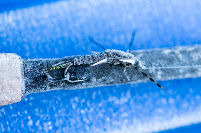 Stonefly nymphs are great searching patterns for trout or steelhead year round on many western rivers.