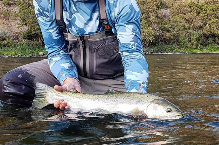 Silver Bow Guide Kenyon Pitts with a swung native Grande Ronde Steelhead. 