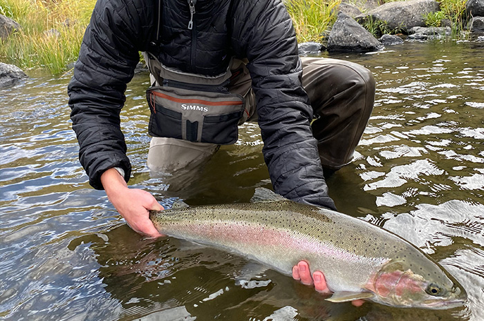 A large Grande Ronde steelhead.