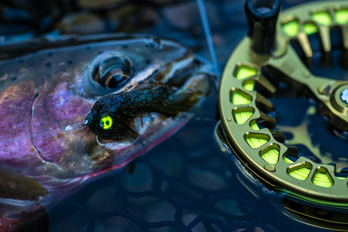 A Coeur d'Alene River cutthroat trout fell victim to a deep dredging streamer.