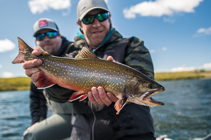 Another quality brook trout from Engano Lake, Patagonia.