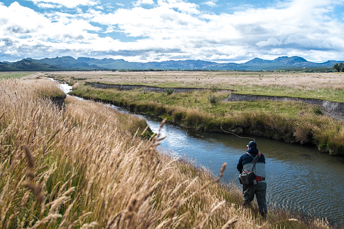 Fly fishing a small spring creek near Rio Pico, Argentina.