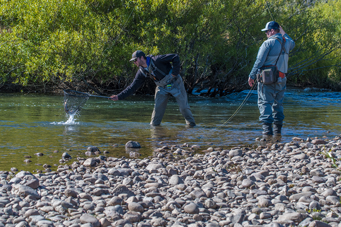 Fly fishing the Las Pampas River.