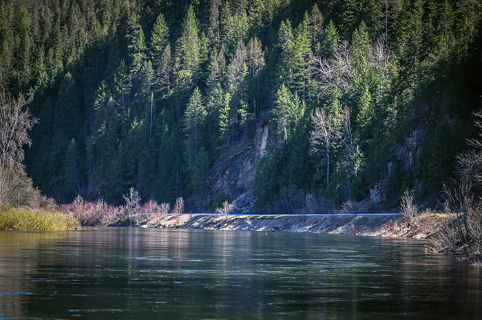 Fly fishing on the St. Joe River, Idaho during April.