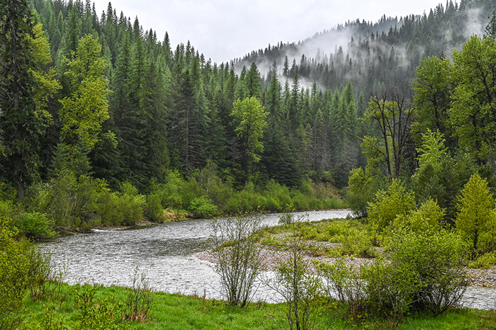 North Idaho Cutthroat Fishing.