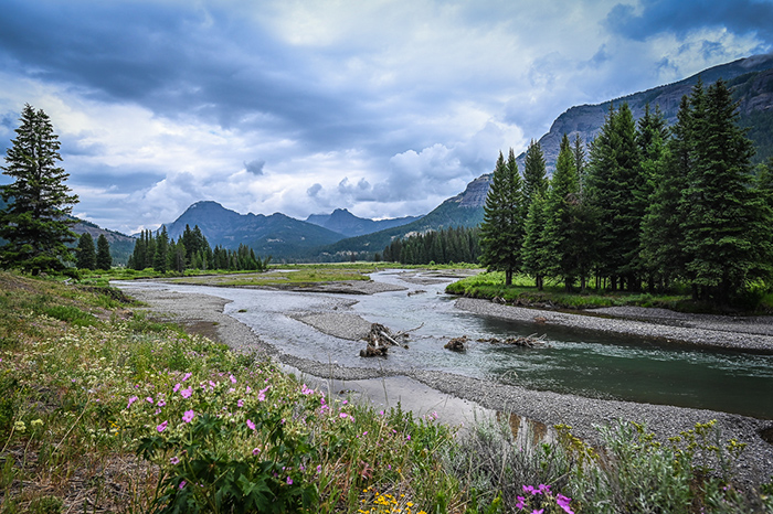 Soda Butte Creek, Yellowstone National Park.