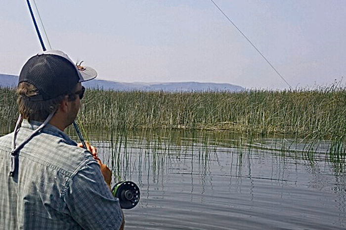 St. Joe River fly fishing guide Michael Laughlin taking a day off from guiding cutthroat to chase carp.