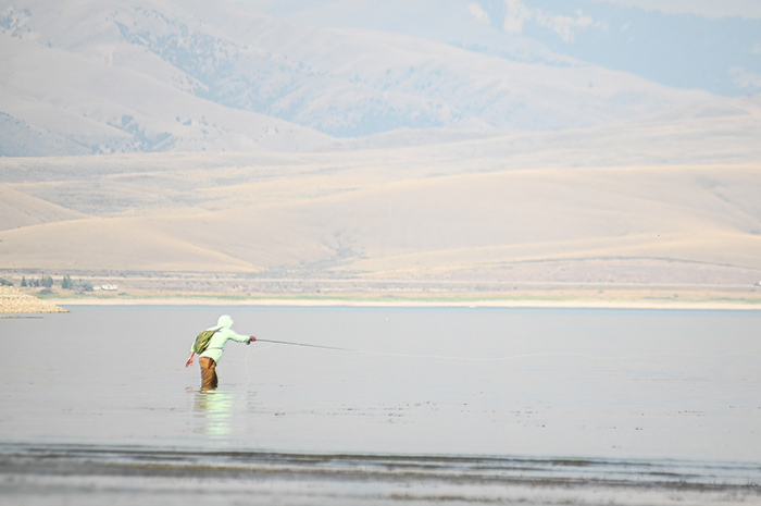 Bo Brand casting for carp in the shallows.