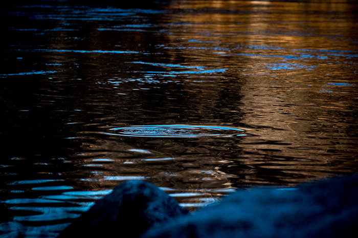 A subtle riser form from a trout in slow currents.