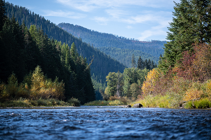 Fall on the North Fork of the Coeur d'Alene River, Idaho.