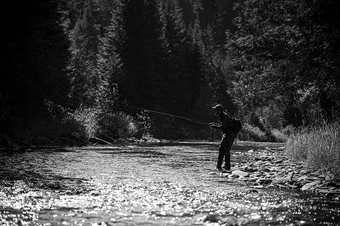 Fly fishing on a tributary to the North Fork of the Coeur d'Alene River, Idaho.