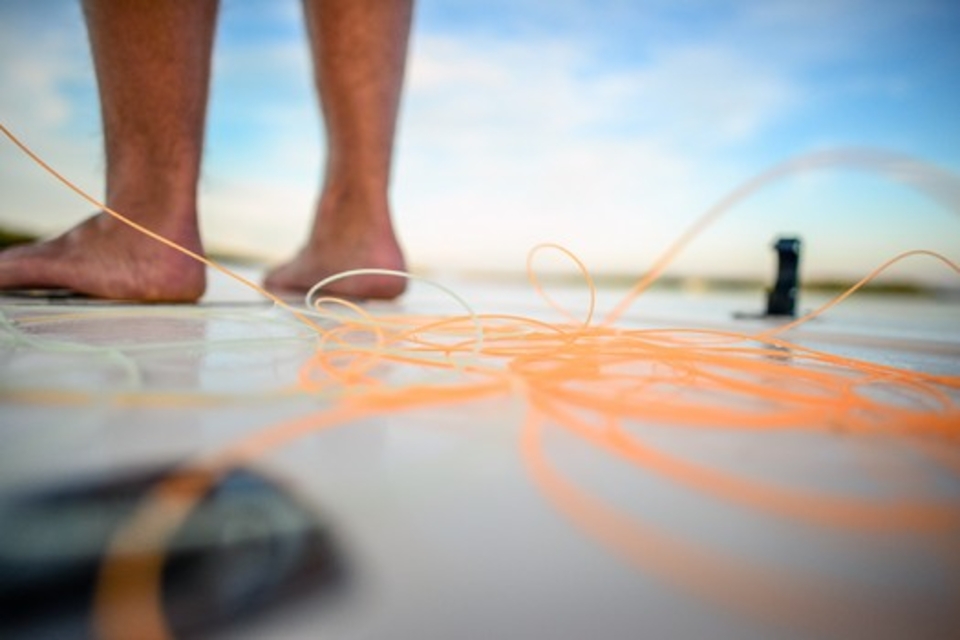 Saltwater Fly fishing Belize