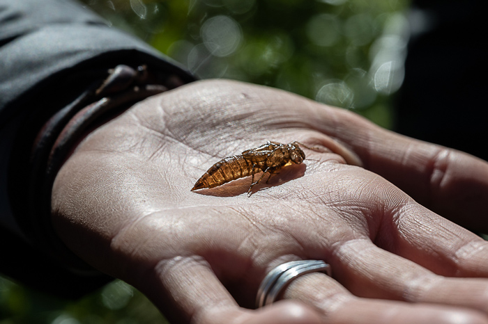 Fly fishing Las Pampas, Chubut, Argentina