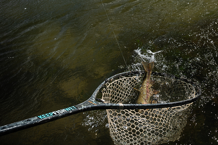 Fly fishing Las Pampas, Chubut, Argentina