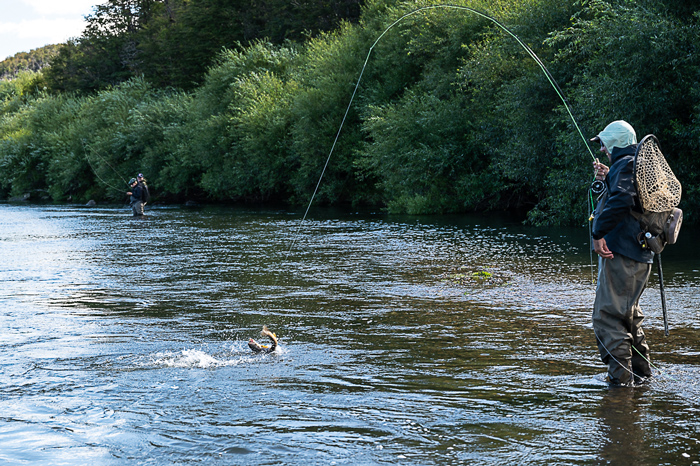 Fly fishing Las Pampas, Chubut, Argentina