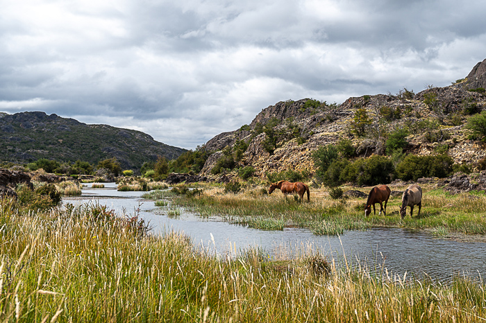 Fly fishing Las Pampas, Chubut, Argentina