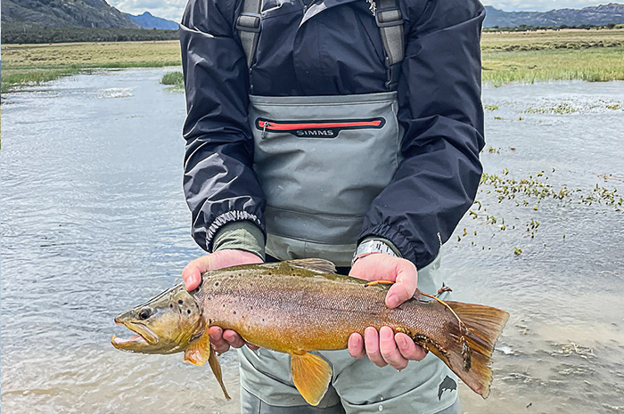 Fly fishing Las Pampas, Chubut, Argentina