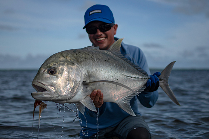 Farquhar Seychelles Giant Tevally Fish