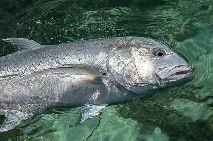 Farquhar Seychelles