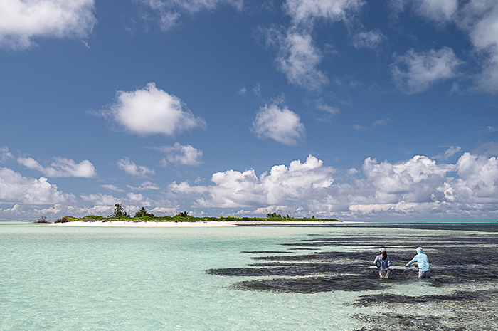 Farquhar Seychelles