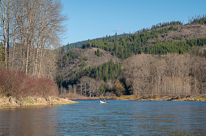 Fly fishing the St. Joe River, Idaho