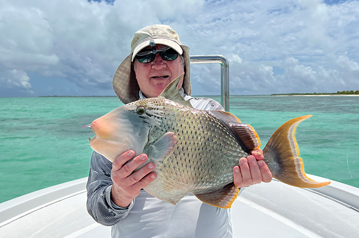 Farquhar Seychelles Giant yellow margin triggers