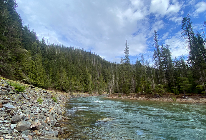 North Fork Coeur d'alene River North Idaho.