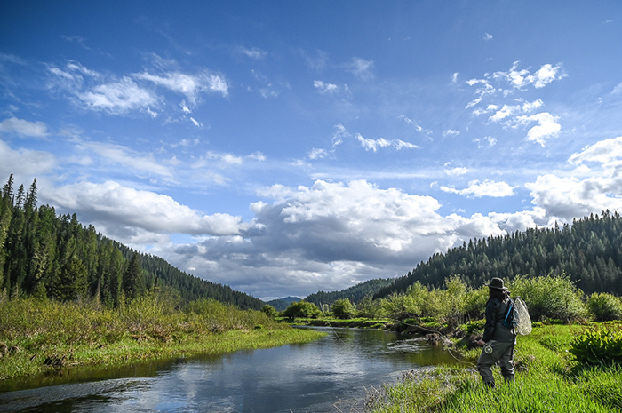 Fly fishing North Idaho.