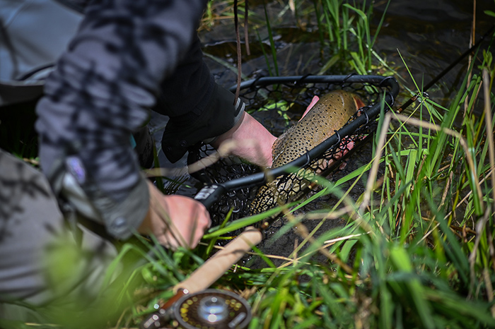 Fly fishing the North Fork of the Coeur d'Alene, Idaho