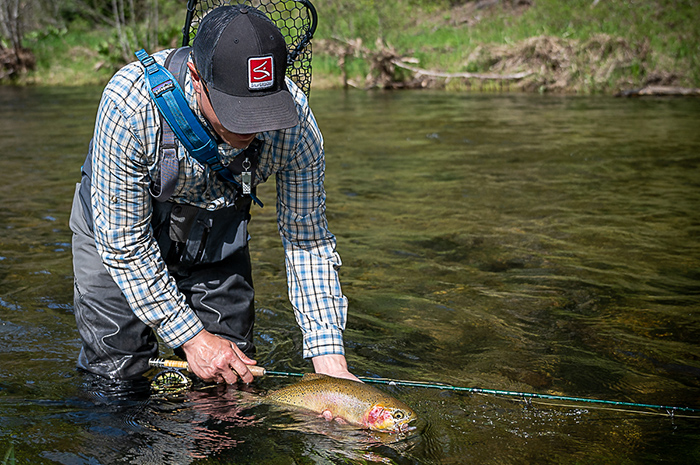 Fly fishing North Fork Coeur d'Alene, St. Joe, and Spokane Rivers