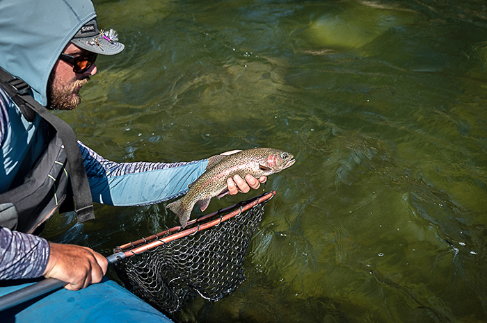 Silver Bow Fly Shop