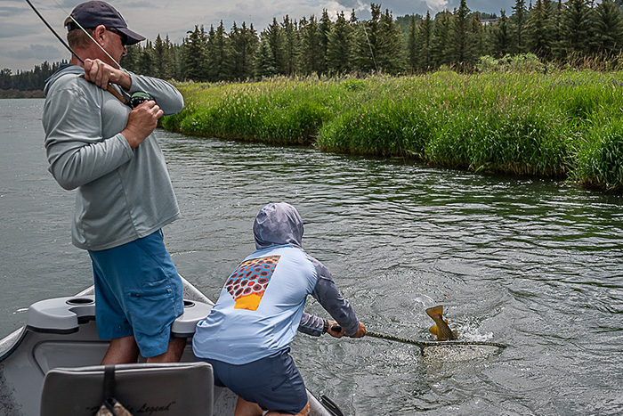 Fly fishing the Bow River, Calgary, Alberta.