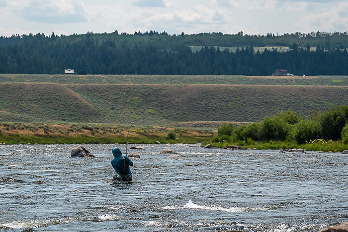 Ben Visintainer fighting a Madison River trout.
