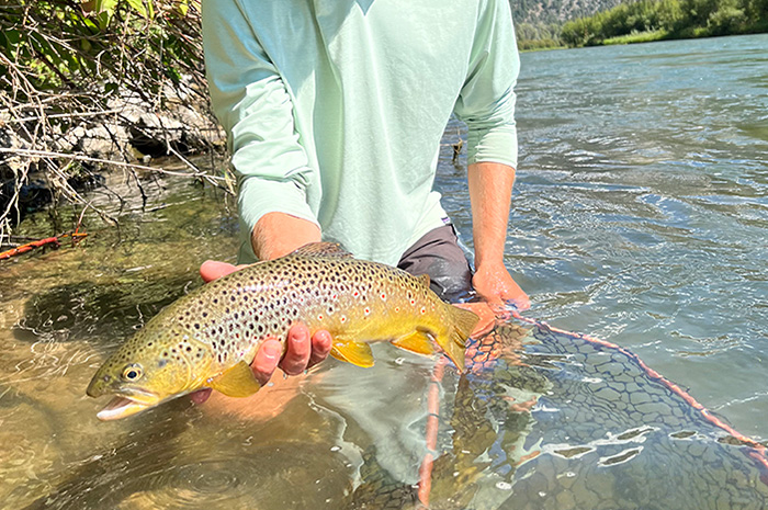 Silver Bow Fly Shop Spokane Washington