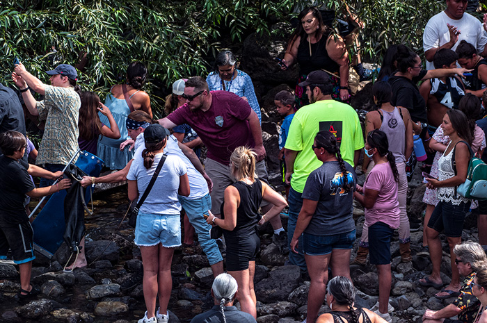 Salmon Release Spokane River Washington