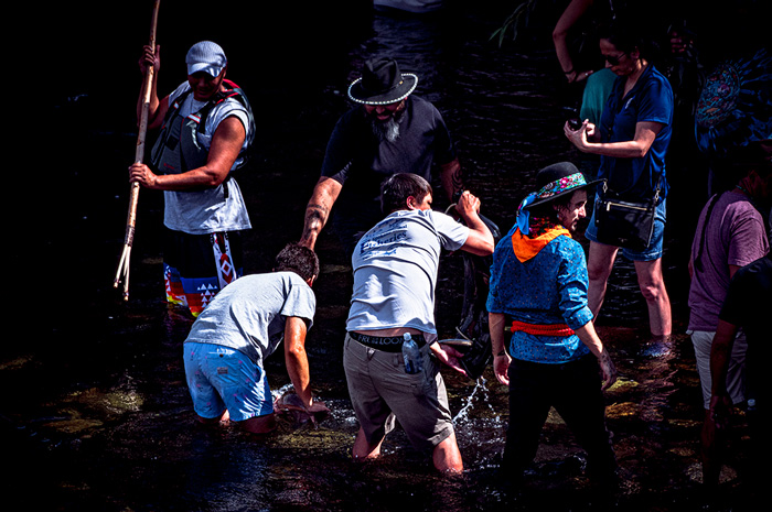 Salmon Release Spokane River Washington