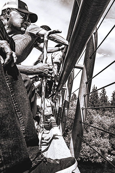 Salmon Release Spokane River Washington