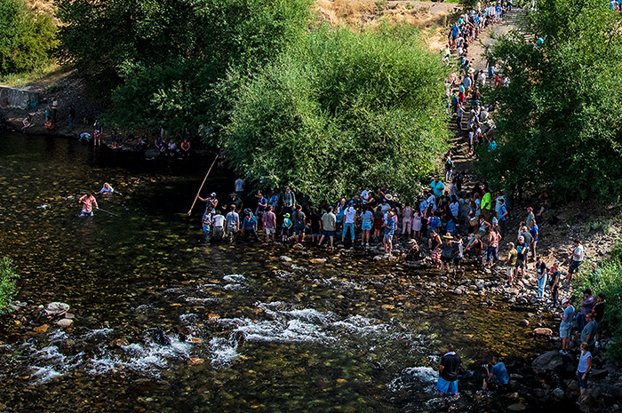 Salmon Release Spokane River Washington