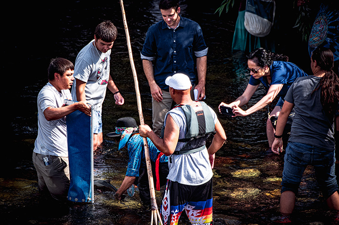 Salmon Release Spokane River Washington