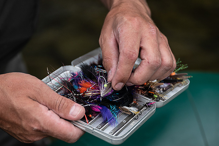 Steelhead swing flies. Organized chaos.