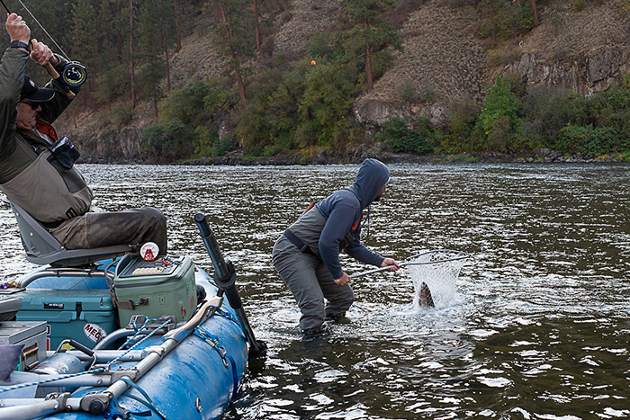 Guiding the Grande Ronde River for steelhead.