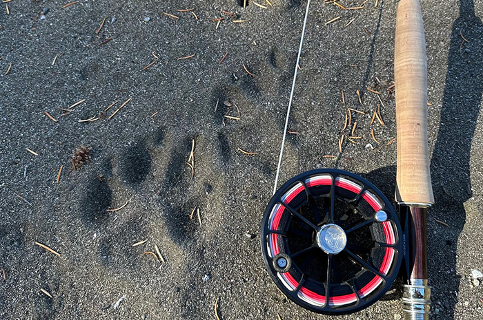 Wolf tracks along the Lamar River.