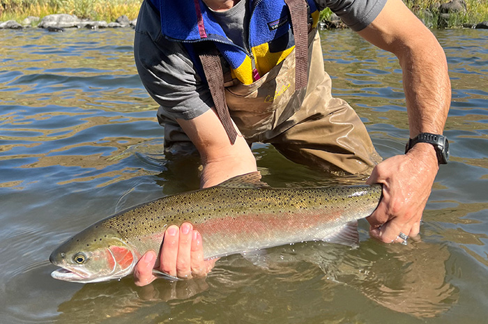 Grande Ronde Steelhead