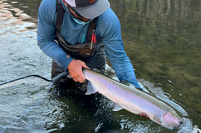 Grande Ronde Steelhead