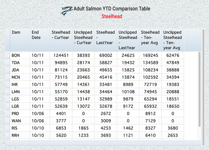 Steelhead Counts