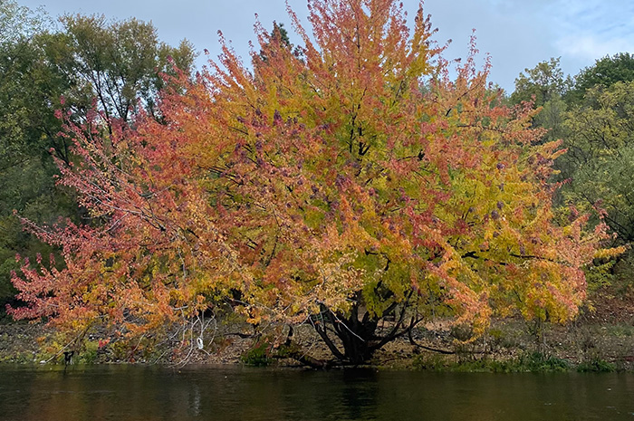 Spokane River