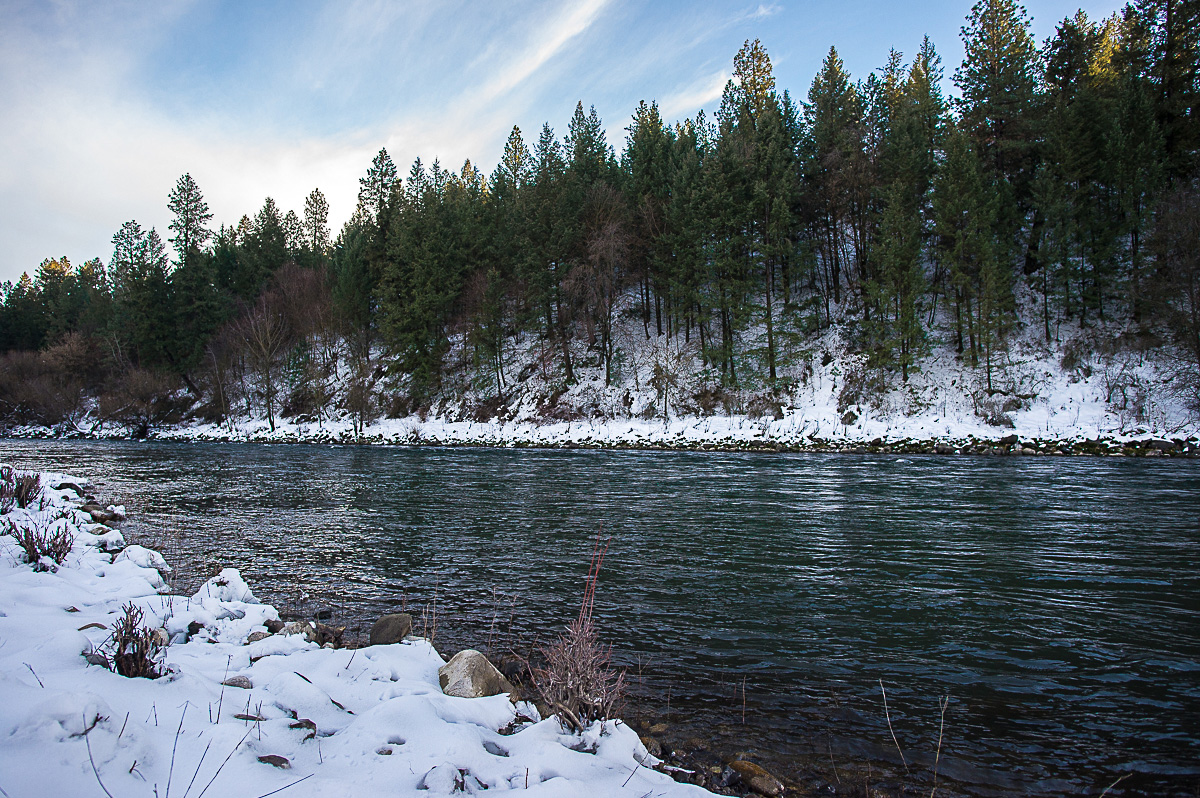 Kenyon Pitts landing a Redband on the Spokane River, Washington.