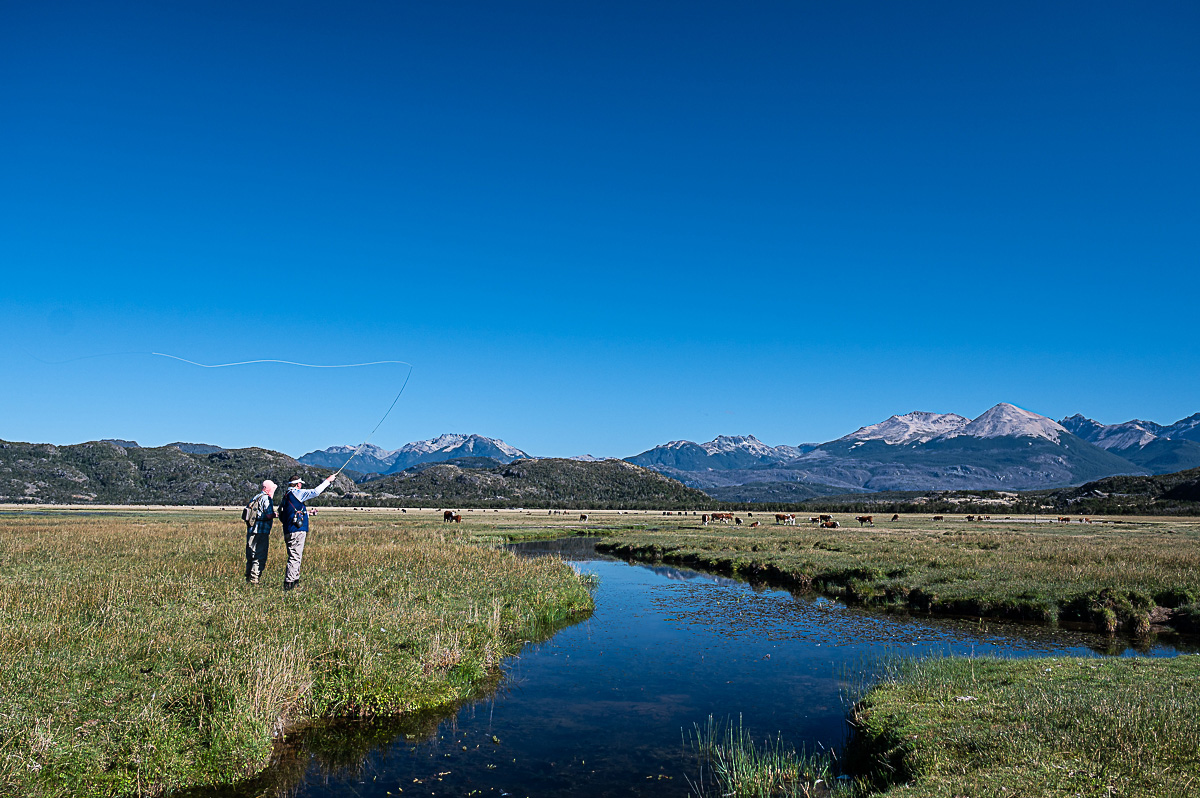 Fly fishing a spring creek in Rio Pico, Argentina.