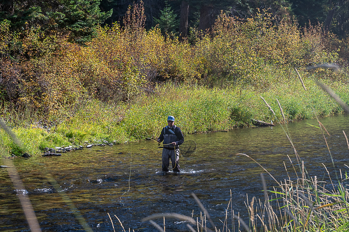 Fly fishing for wild trout.